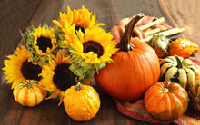 Load image into Gallery viewer, HALLOWEEN MELTS