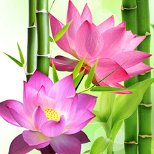 Load image into Gallery viewer, Premium Soy Candles (FLORAL) (Pink Jar)