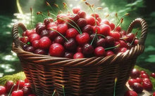 Load image into Gallery viewer, Premium Soy Candles (FRUITS) (White Jar)
