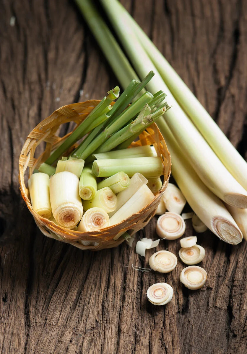 Premium Soy Candles (MISCELLANEOUS) (White Jar)