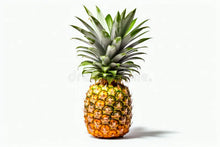 Load image into Gallery viewer, Premium Soy Candles (FRUITS) (White Jar)
